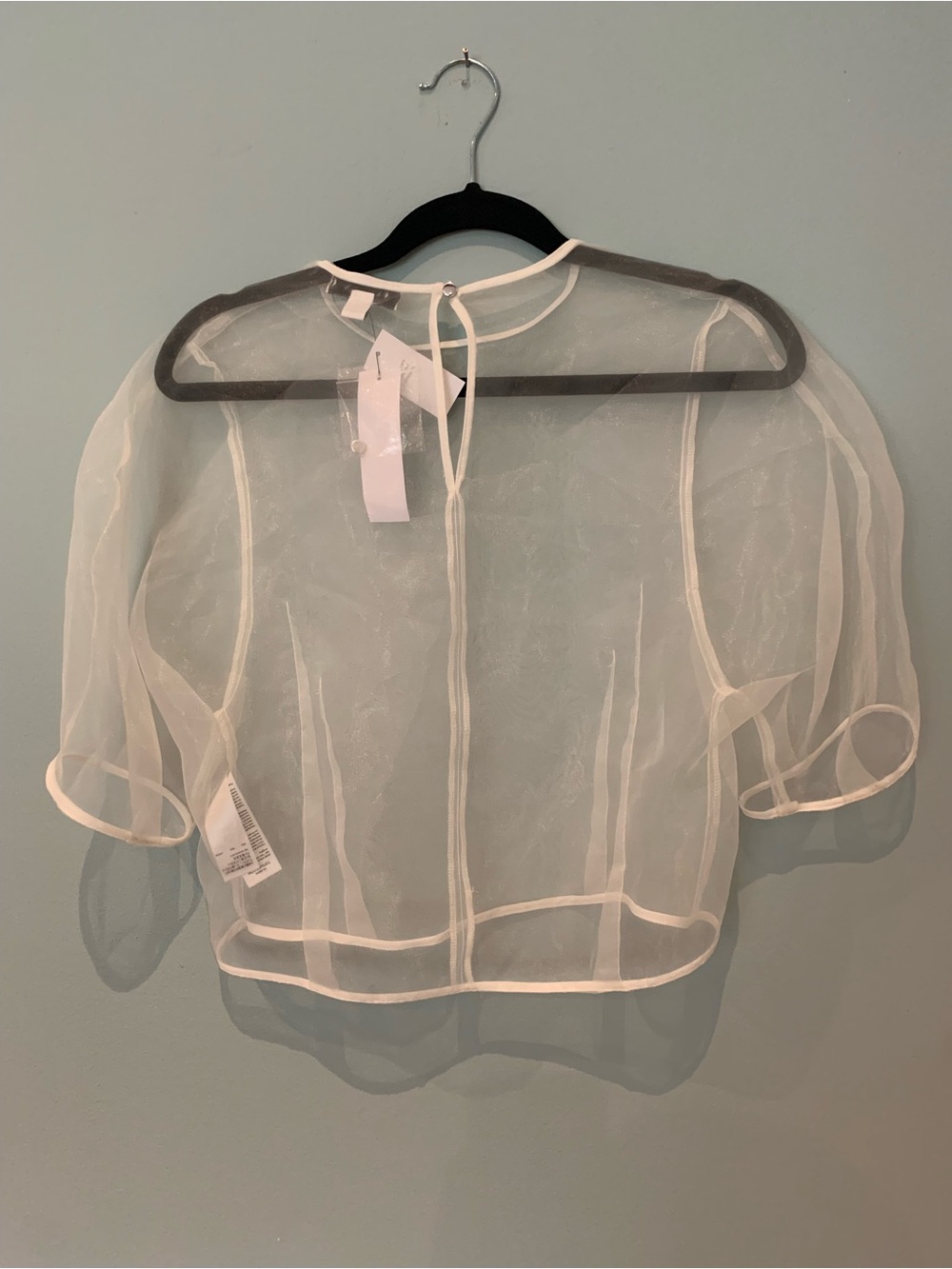 Topshop Sheer White Organza Crop Top with Piping - Picture 7 of 10